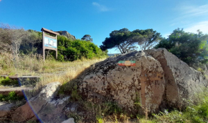 Il Percorso Botanico di Capraia: un ponte fra le Isole della Riserva di Biosfera