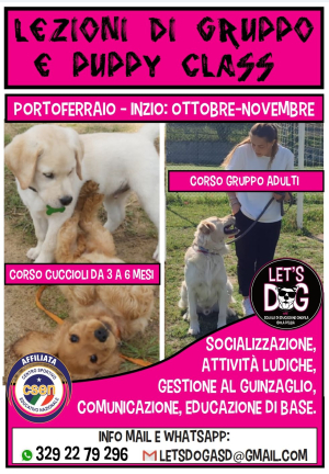 Corsi di gruppo di educazione cinofila in arrivo con Let&#039;s Dog