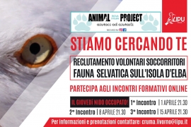 LIPU e Animal Project formano volontari per il soccorso della fauna selvatica