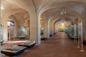 Un progetto per il restauro e il nuovo allestimento del Museo Archeologico della Linguella