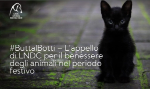 Butta i botti: ecco come proteggere gli animali domestici