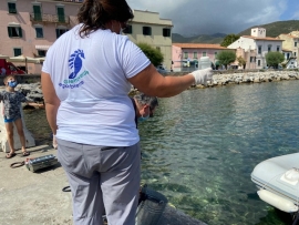 Goletta Verde: i risultati dei prelievi  all’Isola d’Elba, fuori norma 2 su 4