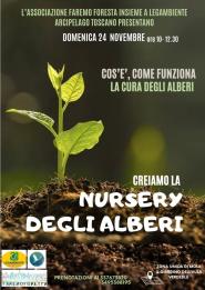 Creiamo la nursery degli alberi a Mola