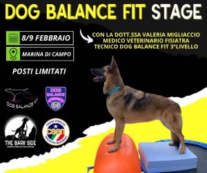 Sabato 8 febbraio arriva all’Elba il Dog Balance Fit