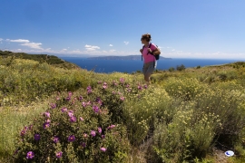 Camminate primaverili con il Walking Festival del Parco 