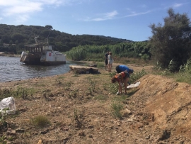 22 ragazzi di tutta Europa a Mola.  Effettuano la pulizia della spiaggia,  studiano la Zona Umida longonese.