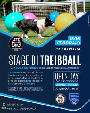 Stage di Treibball a Portoferraio