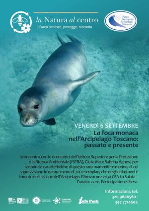 La Foca monaca nell’Arcipelago Toscano: passato e presente. Appuntamento il 6 settembre a Capraia