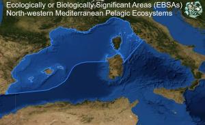 L’Arcipelago Toscano tra le Aree Marine di Importanza Ecologica mondiale