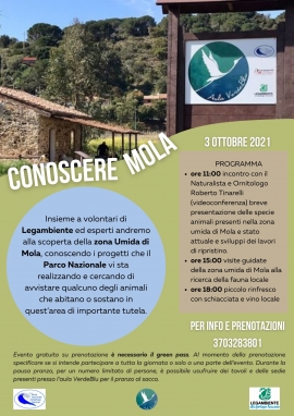 Conoscere Mola e le sue creature. Appuntamento domenica 3 ottobre all’Aula VerdeBlu