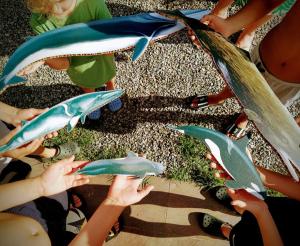 Laboratori per bambini con le guide del Parco dedicati ai cetacei e alla biodiversità marina