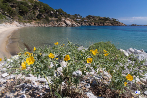 La gestione dell’ambiente oggi in Toscana