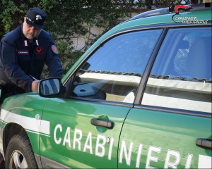 Campo: lavori eseguiti in violazione del vincolo paesaggistico, denunciata una persona