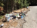 Fotonotizia: Ennesima discarica a bordo strada 