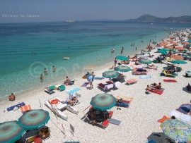 Cani in spiaggia, leggi e buon senso per evitare spiacevoli episodi