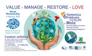 Mola: contest artistico per la giornata mondiale della Zone umide