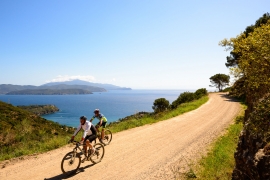  Dalla Camera di Commercio contributi a fondo perduto, al via due bandi dedicati all’innovazione e al cicloturismo