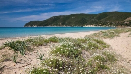 Rinvenuto un cadavere sulla spiaggia di Lacona