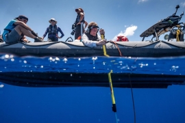 Sciopero per il clima - si parla anche dell&#039;Elba