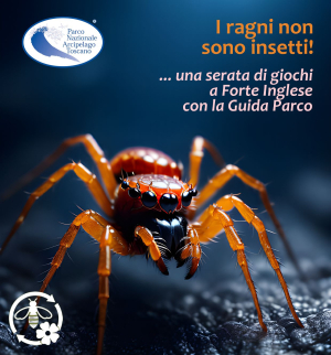 Il mondo dei Ragni, amici utili e sentinelle del cambiamento climatico