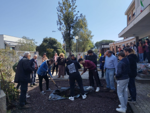 Il Cerboni pensa verde. Messo a dimora un leccio che potrebbe essere il primo di un nuovo polmone green di Portoferraio