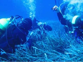 Che cosa è la Marine Strategy e come tutela l&#039;ambiente marino?