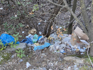 Discariche GTE: attivato un tavolo di monitoraggio della  pulizia e manutenzione del percorso