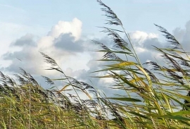 Meteo: Vigilia di Pasqua ventosa ?