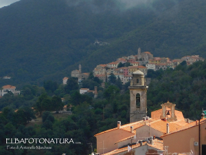 Marciana e Poggio piangono la scomparsa di Patrick Harford