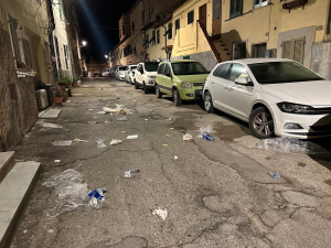 Raccolta differenziata porta a porta e i gabbiani