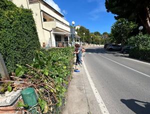 Seccheto: arbusti a bordo strada. I cittadini chiamano, il Comune (di Campo) non risponde