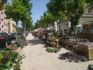 Si chiude oggi (domenica 5 Giugno) alle Ghiaie  &quot;Portoferraio in Fiore&quot;