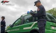 Bene il blitz dei Carabinieri Forestali contro i bracconieri, ma sanzioni e pene irrisorie