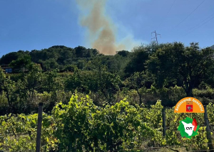 Incendio boschivo a Rio nell&#039;Elba, fiamme sotto controllo