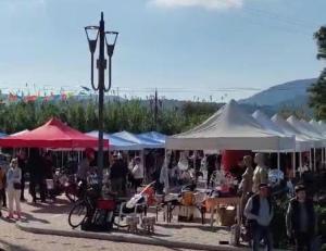 “Circolino in festa”, un successo di partecipazione