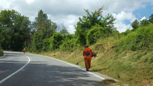 Iniziata la campagna di sfalcio dell’erba lungo strade provinciali elbane