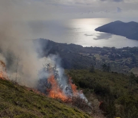 Dal 20 al 31 marzo divieto di abbruciamenti su tutto il territorio regionale