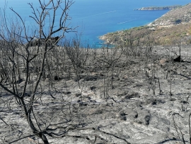 Il bilancio di una notte di fuoco, il Sindaco Montauti ringrazia le squadre antincendio